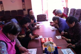 BHSCT Elders Project